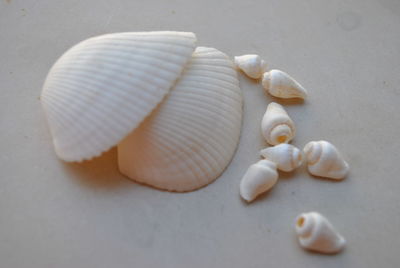 Close-up of pills on table