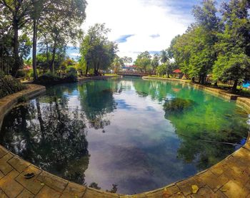 Reflection of trees in swimming pool against sky