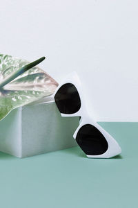 Summer fresh and fashion accessories. ladies trendy sunglasses.
