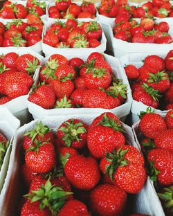 Close-up of strawberries