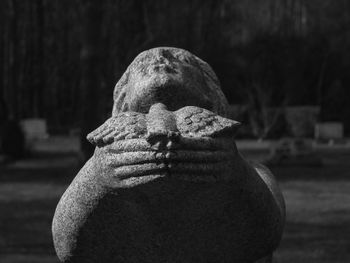 Close-up of statue