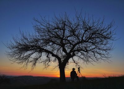 Silhouette person standing with tripod by bare tree during sunset