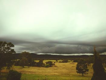 Trees on field against cloudy sky