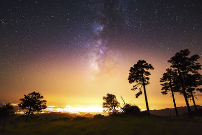 Silhouette trees against sky at night