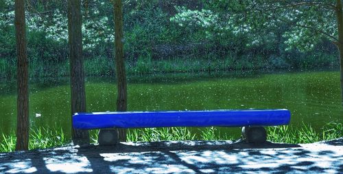 Chair on tree trunk in park