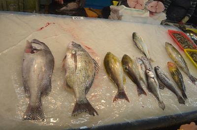 Fish for sale at market stall