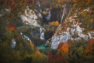 Scenic view of waterfall in forest