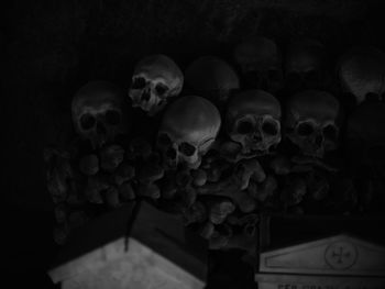 Close-up of human skull in the dark