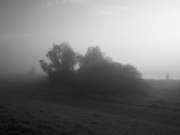 Trees on field against sky