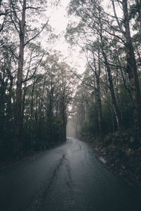 Road amidst trees in forest