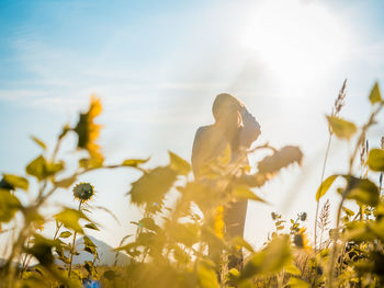 Woman with winter cloth stand and catch her hair at side of sunflower field on windy weather 