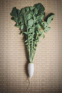 High angle view of vegetables on table