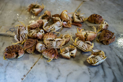 High angle view of crab on table