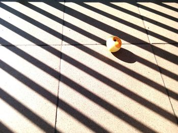 High angle view of bird on ball