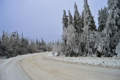 Road amidst trees against clear sky