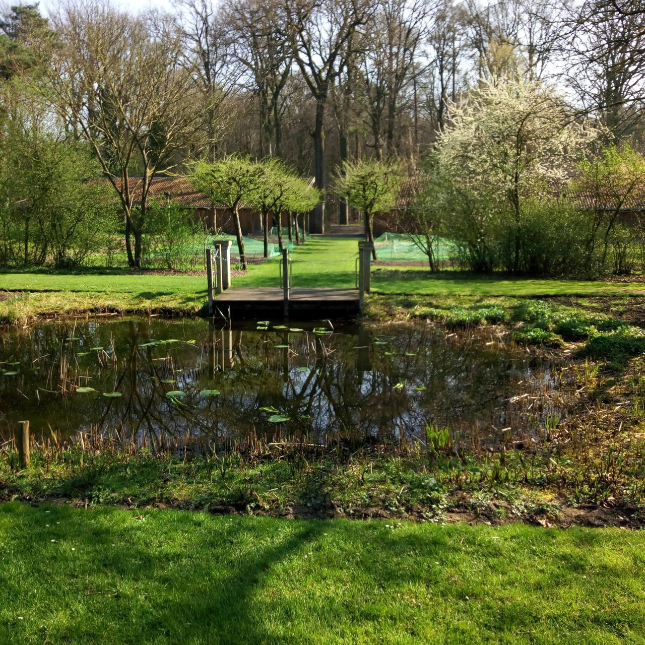 BENCH IN PARK BY LAKE AGAINST TREES IN SUNLIGHT