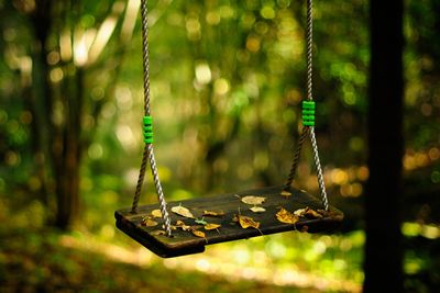 Close-up of swing hanging on playground