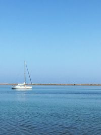 Sailboat sailing in sea against clear blue sky