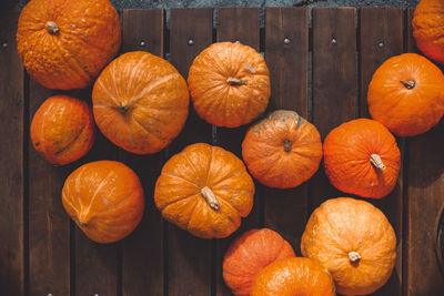 High angle view of pumpkins on table