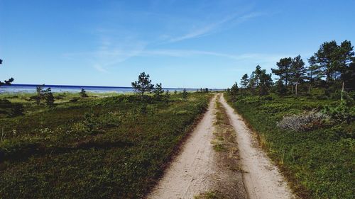 Dirt road amidst trees against clear sky