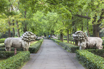 Fountain in park