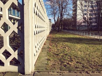 Bare trees against sky