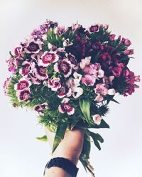 Close-up of hand holding bouquet against white background