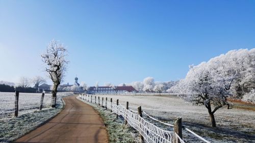 Bare trees on snow covered landscape against clear sky