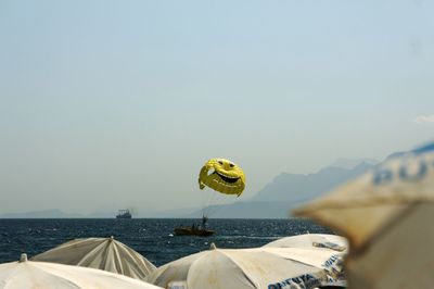 People on beach