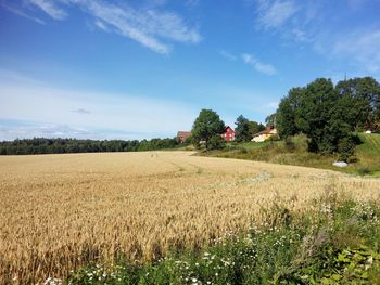 Scenic view of field against sky