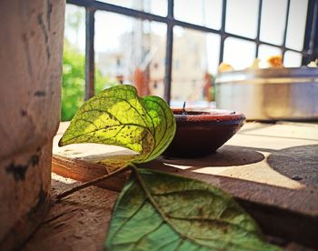 Close-up of leaf on table