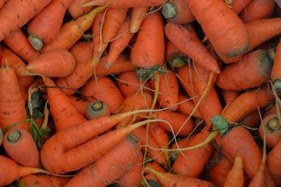 High angel view of carrots for sale at market