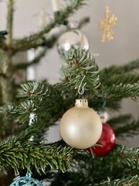 Close-up of christmas decorations