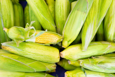 Full frame shot of vegetables for sale in market