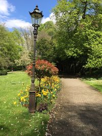 Footpath in park