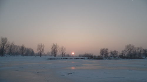 Bare trees on snow covered landscape