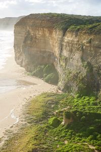 Scenic view of beach