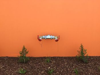 Section of fire industrial sprinkler system on wall