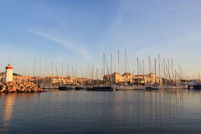 Sailboats moored in harbor