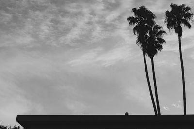 Low angle view of silhouette palm trees against sky