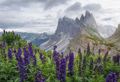 Scenic view of mountains against sky