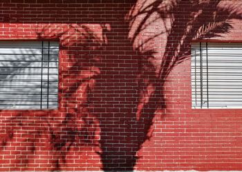 Close-up of window on brick wall