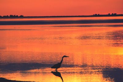 Scenic view of sunset over sea