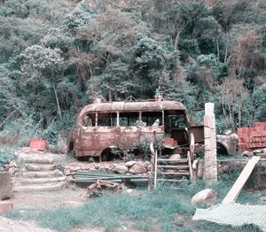 Abandoned truck on road by trees