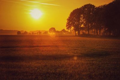 Scenic view of grassy field against sky at sunset