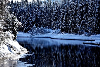 Scenic view of lake against sky during winter