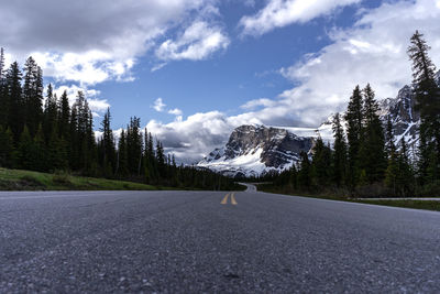 Surface level of road by trees against sky