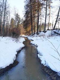 Frozen river stream amidst trees during winter