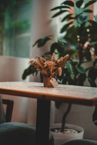 Close-up of potted plant on table