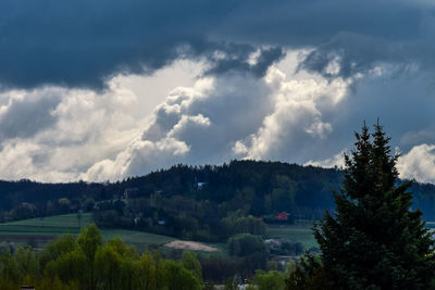 Panoramic view of trees against sky